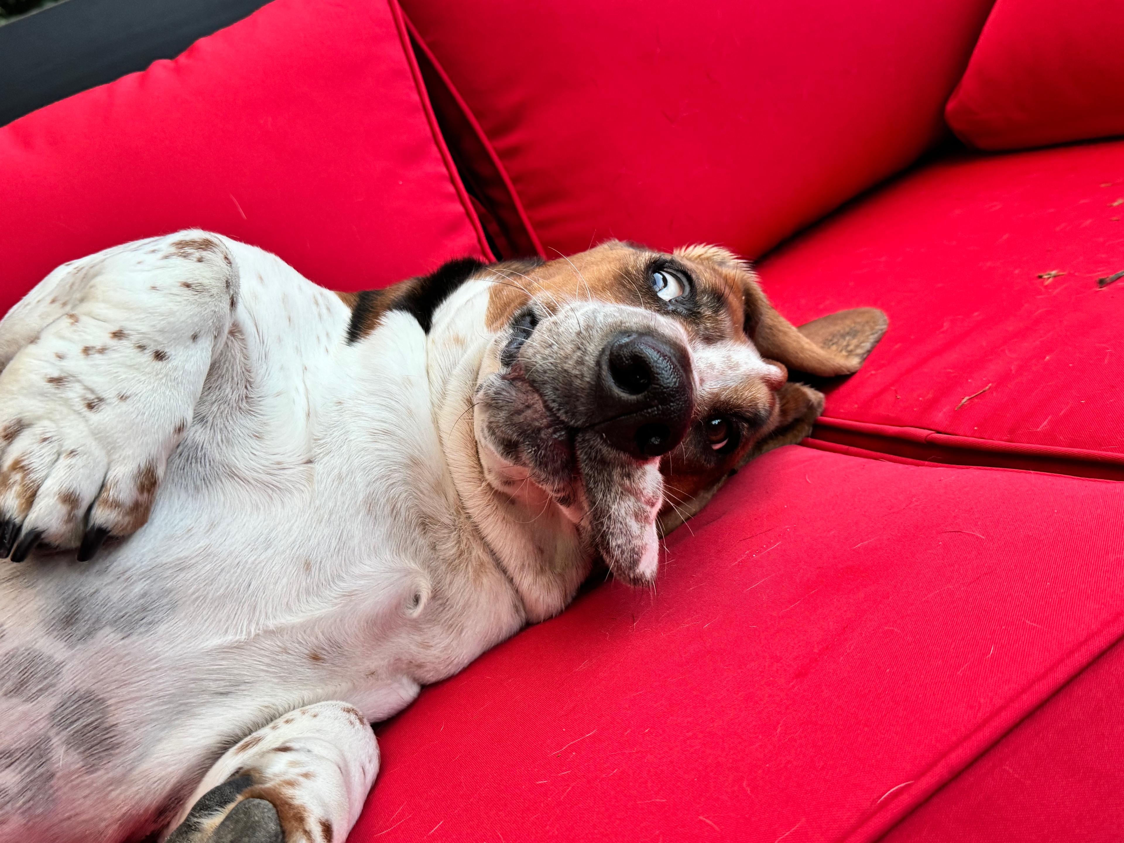 Last one of Theo. Maybe.